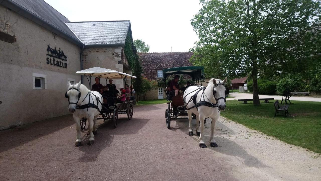 Le Village De Cottages - Le Pole Du Cheval Et De L'Ane Lignières Zewnętrze zdjęcie