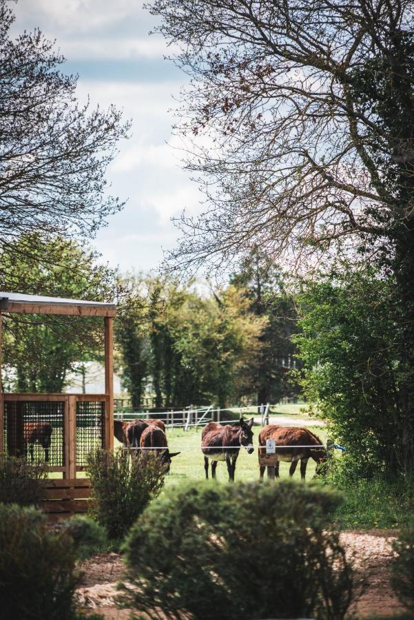 Le Village De Cottages - Le Pole Du Cheval Et De L'Ane Lignières Zewnętrze zdjęcie
